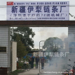 新疆伊犁鏈條廠 立足邊疆，服務(wù)農(nóng)業(yè)的鏈條專(zhuān)家